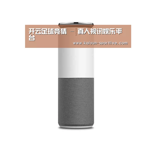 联想智能音箱G1