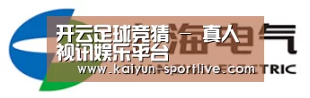 上汽电器