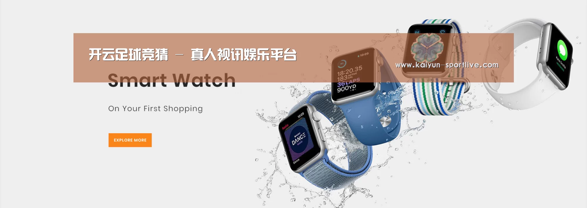 某某网络科技有限公司