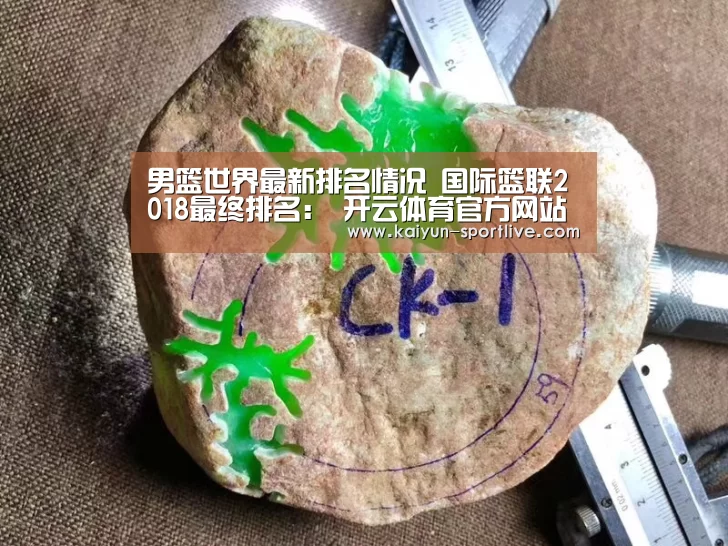 男篮世界最新排名情况 国际篮联2018最终排名: 开云体育官方网站(图1) 开云足球竞猜