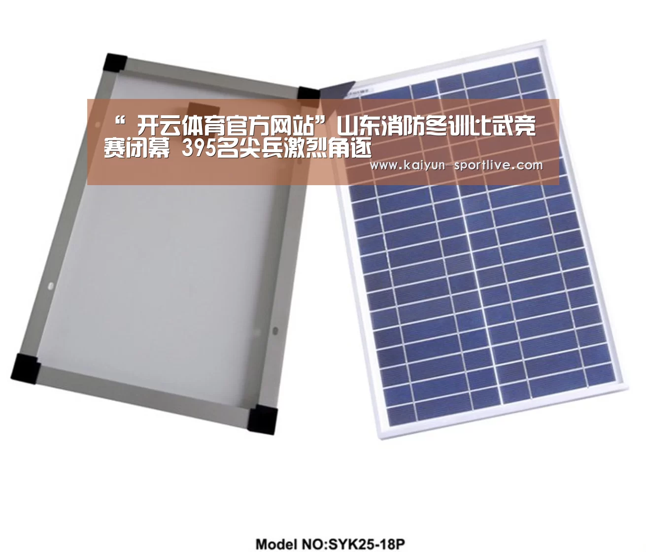 “ 开云体育官方网站”山东消防冬训比武竞赛闭幕 395名尖兵激烈角逐(图4) 开云电竞直播