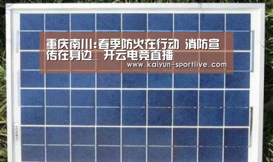 重庆南川:春季防火在行动 消防宣传在身边_ 开云电竞直播(图3) 开云电竞直播